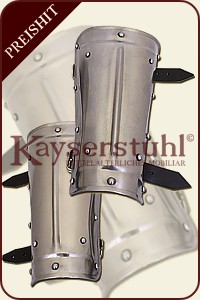 Armschienen Typ 01