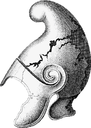 Phrygischer Helm