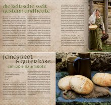 Das Kelten-Kochbuch (Ingeborg Scholz)