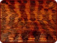 Griffmaterial Schlangenholz