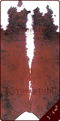 Südamerikanisches Rinderfel Braun/Weiß