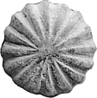 Spätmittelalterliche Zierniete "Rosette" (Original)