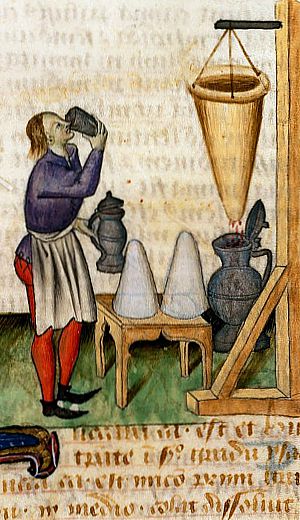 Miniatur aus dem mittelalterlichen Manuskript, dem Tractatus de Herbis (Vertrag über Kräuter), um 1440